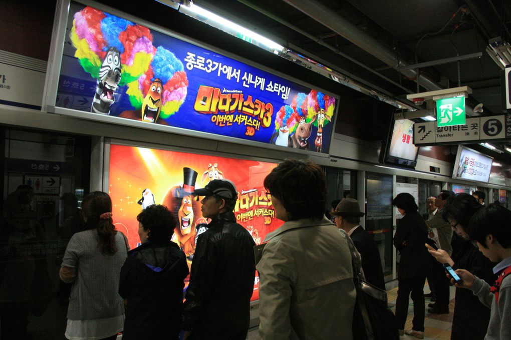 De Séoul à Busan, quelques clics pour immortaliser huit jours au pays du malte calme.