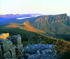 #Chardonnay Producers Victoria Australia 7