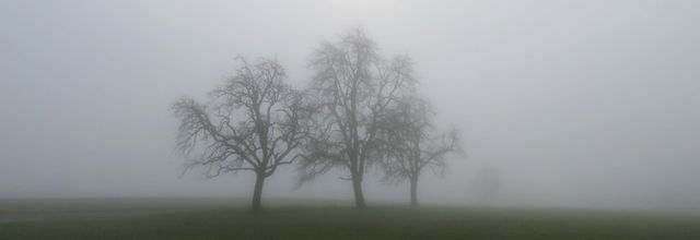 Un matin de novembre en Haute-Savoie 