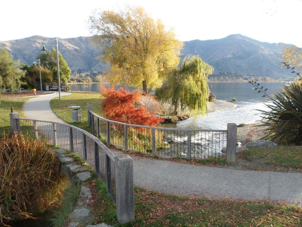 Wanaka, Queenstown : les couleurs de l'automne