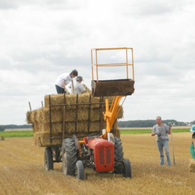 Smallholders britannique et petit fermiers ruraux français, un état des lieux