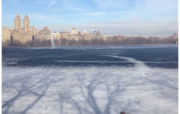 New York sous la neige ou l'envers du décor