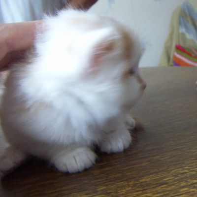 Didy Lilou et Happy bébés ; Didy au biberon