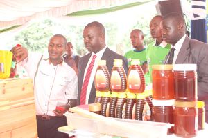 MP Gideon Ochanda being shown youth beekeeping projects sponsored by KCB Foundation