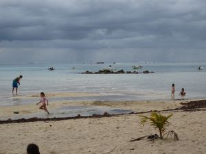 Plage des Tipaniers. Petit déjeuner face à la plage depuis le "fare" loué pour les vacances. Sortie Pique-nique sur un motu en bateau avec visite du spot de raies et requins à pointe noire...