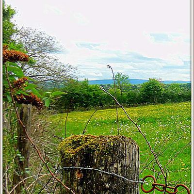 Paysage - Evans - Jura