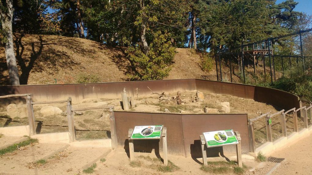 Visite du parc animalier d'Auvergne