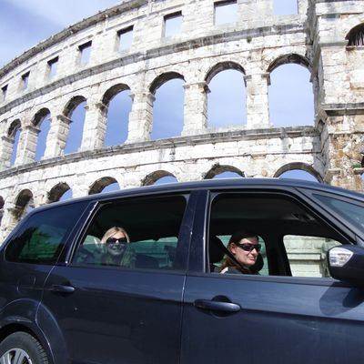 LuckyJerusalem artichoke549446