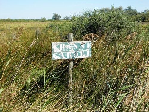 Une journée en Camargue...