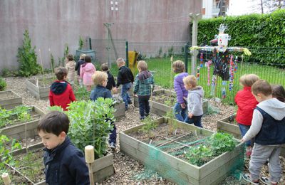 Le jardin de la classe des petits