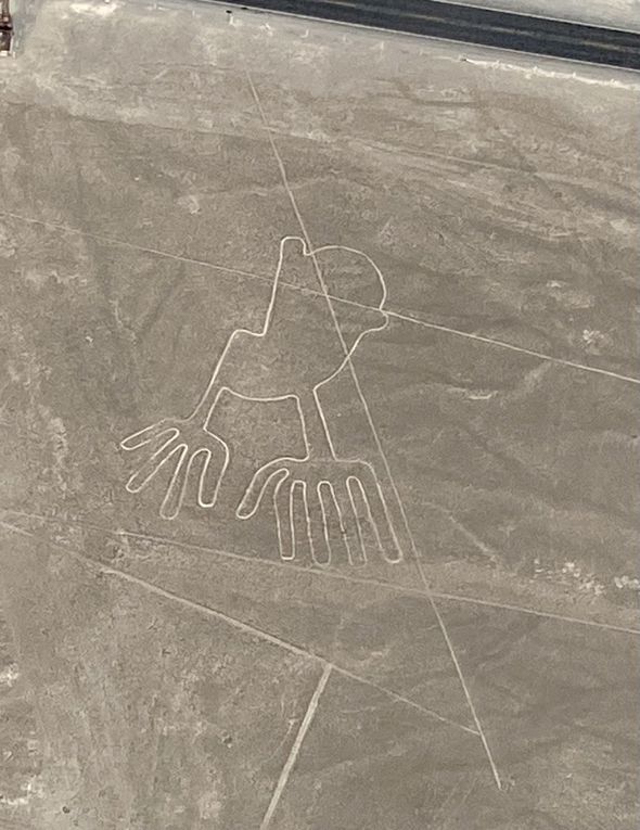 Les Llamitos à Nazca