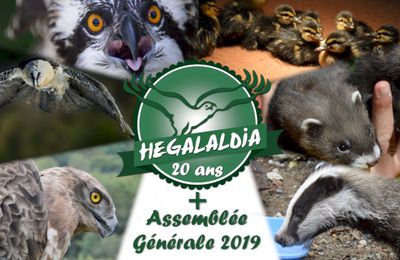 l’association Hegalaldia a le plaisir de vous inviter à son Assemblée Générale 2019 ainsi qu’à l’anniversaire de ses 20 ans !