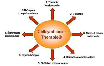 Alimentation et la Cellsymbiosisthérapie