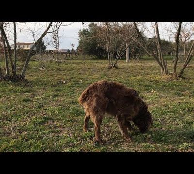 La France des jours heureux : Elian Cellier apporte son soutien à Fabien Roussel (vidéo)