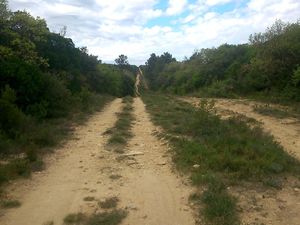 Vendredi 15 Avril : Rando douce à Serignan