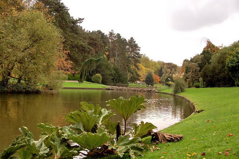 l'automne est si beau ! Au royaume du symbolisme, la saison est rayonnante... Photos TSD