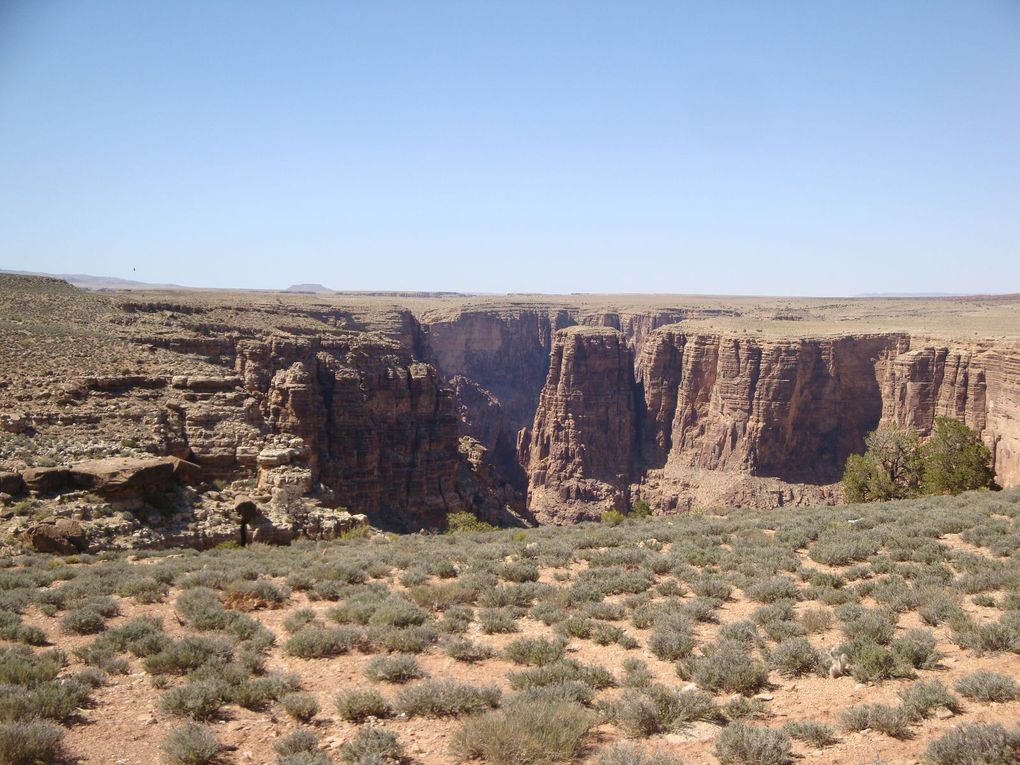 Voici en image notre periple entre Sedona avec ses falaises rougeoyantes et son canyon magnifiques, le Grand Canyon qui est ireel et epoustouflant puis Antilope Canyon qui est incroyable avec ses gorges etroites ou nous descendons ...