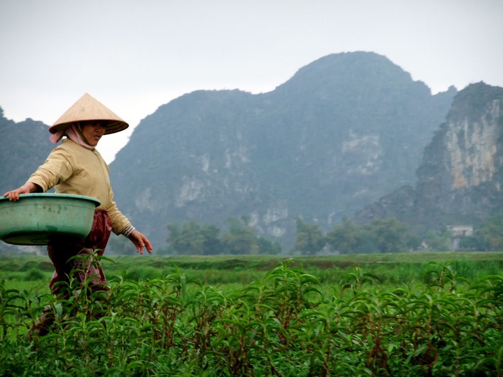 Album - VIETNAM