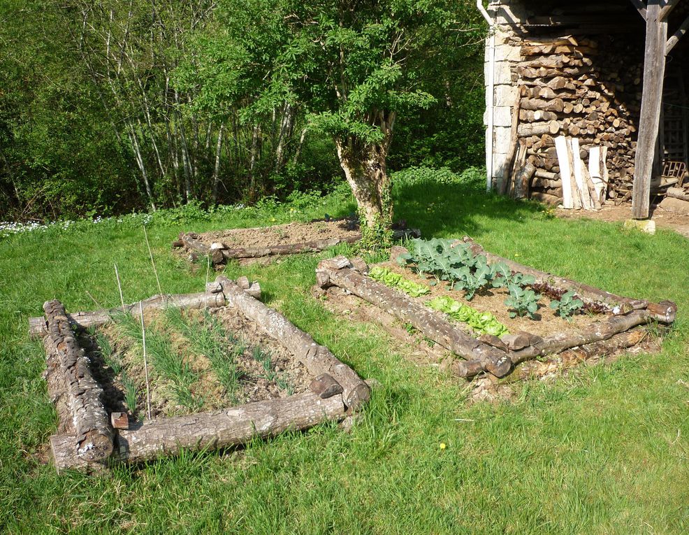 Bienvenue dans mon jardin au naturel