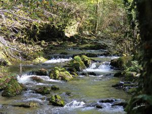 Baronnies : Gourgues d'Asque