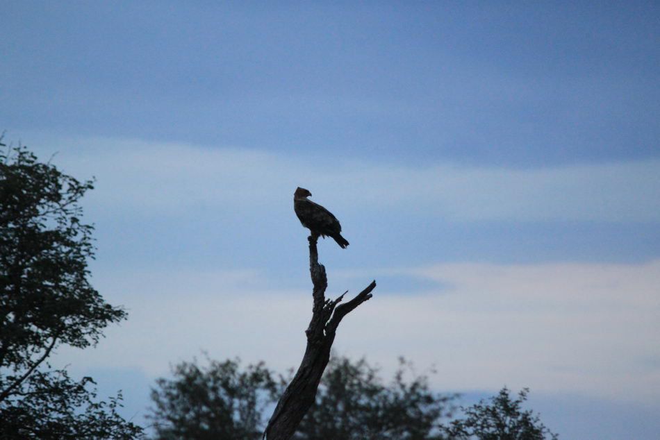 Album - Suedafrika