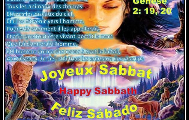 Joyeux Sabbat 