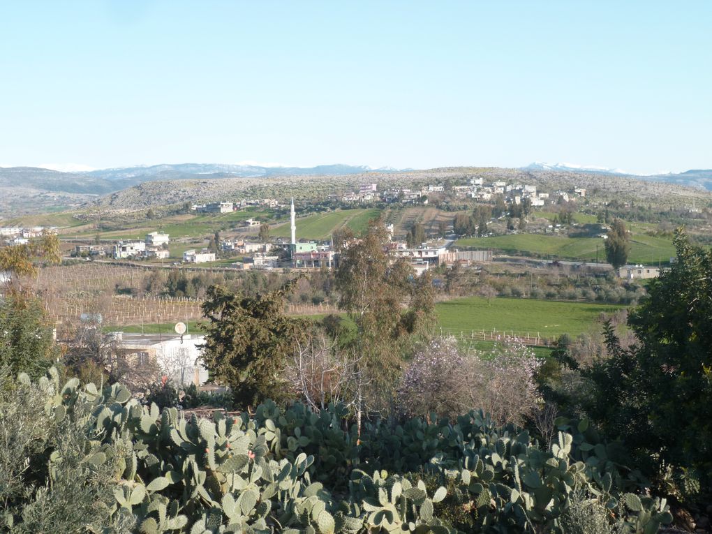 d'Ankara a Adana... un froıd hiver anatolien!