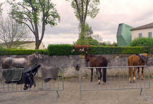 La vie de notre Village ...