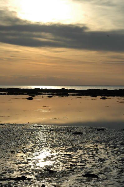 Week end en Gaspésie, gastronomie, pêche miraculeuse, et couchers de soleil !!!! invités chez le patron de mon loulou 