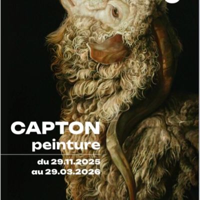 CAPTON, peintre animalier orléanais, investit la Collégiale St pierre le Puellier du 29 novembre 2025 au 29 mars 2026