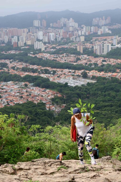 En el Parque Casupo de Valencia se efectuó Mega Jornada de Reforestación