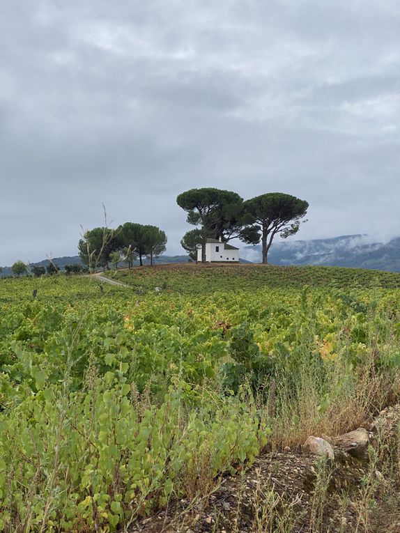 4eme étape : Cacabelos - Vega de Valcarce 27 km