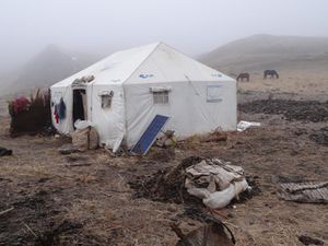 Gansu Sud - Langmusi