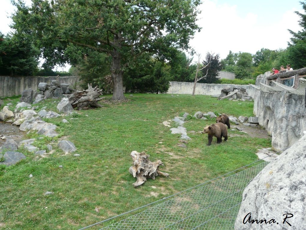 Visite du 17 aout 2010