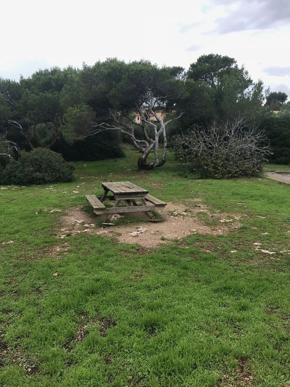 La place de pique-nique à la Torre dels Falcons de Porto Cristo