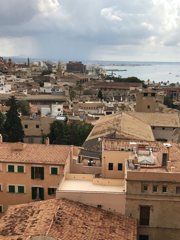 Les terrasses de la Seu, cathédrale de Palma 