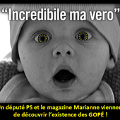 Après 9 ans d'explications fournies par l'UPR, un député PS et le magazine Marianne viennent de découvrir l'existence des GOPÉ et leur rôle dans la loi El Khomri