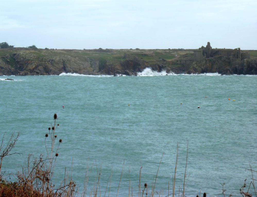 Album - île d'Yeu décembre 2011