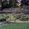 un beau parterre fleuri