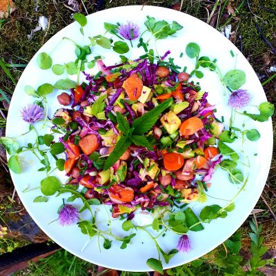 Mon assiette confinement de la semaine