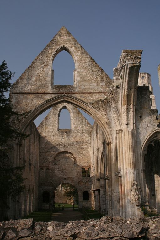 Album - Abbaye de Jumieges