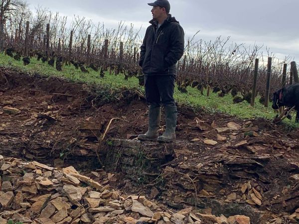 Un bel écrin pour notre Meursault Tessons 