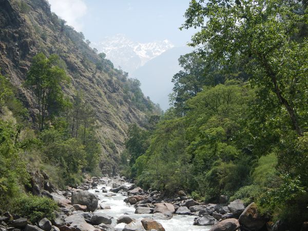 Trekking du Langtang – 2ème partie : l'Himalaya en plein cœur