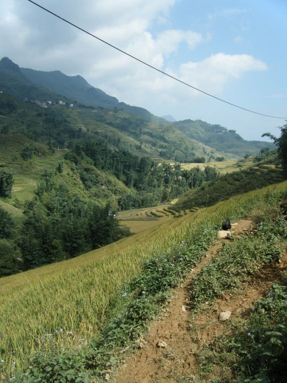 Album - Week end à Sapa