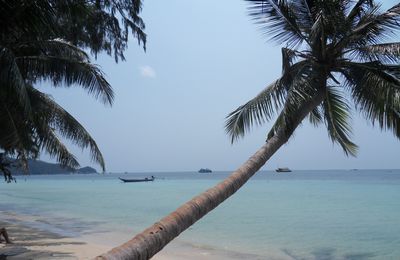 19-Ko tao