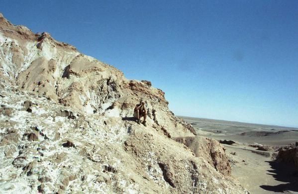 <p>Photos de Terre du Feu a Atacama,</p>
<p><em>Fotos de Tiera del Fuego a Atacama.</em></p>