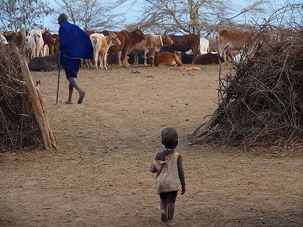 De l'aide pour les Maasai ... Help for Maasai People ...