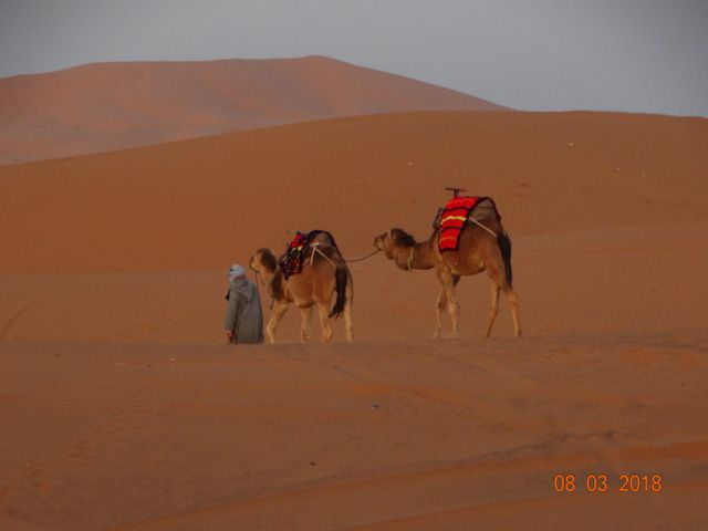 Dernières photos de Merzouga