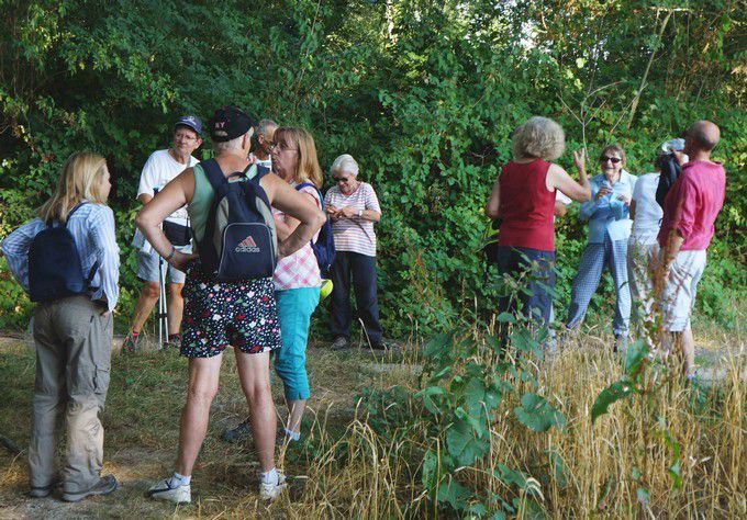 La marche du 26 juillet 2018