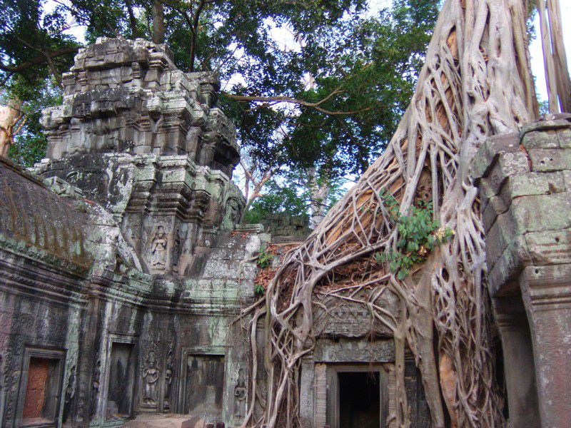 Album - Temples d'Angkor (Cambodge)